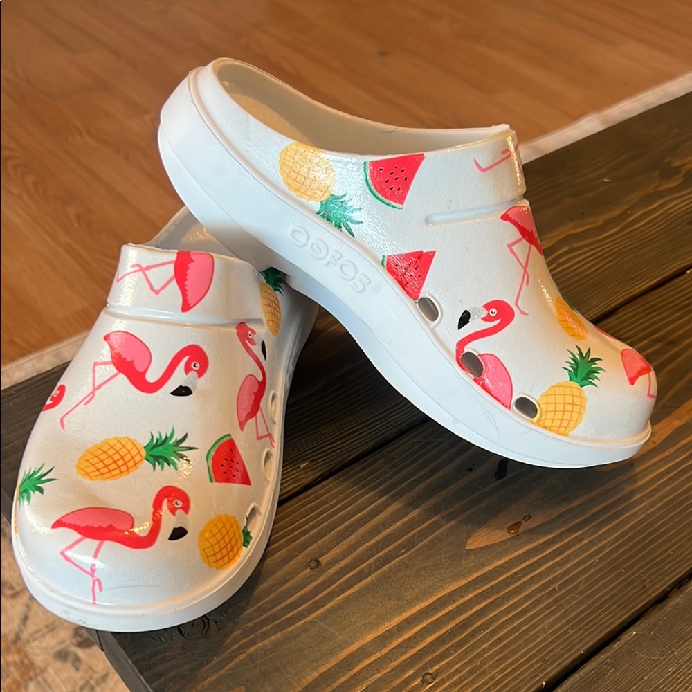 Flamingo and Fruit OOFOS
